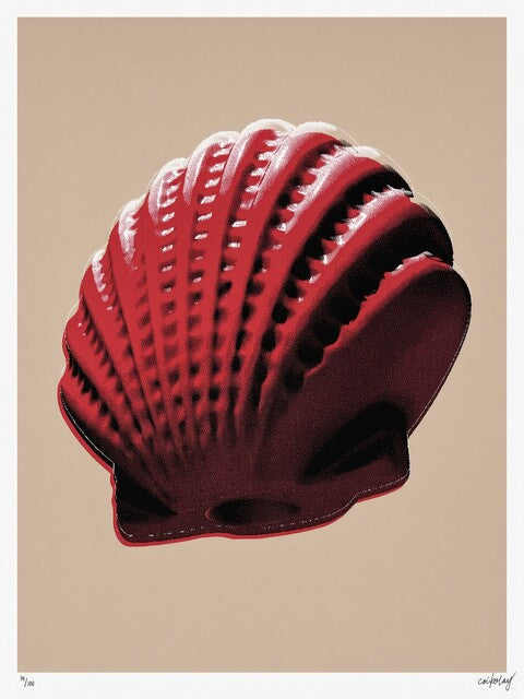 CJ Hendry — Pastel - Seashell, 2026