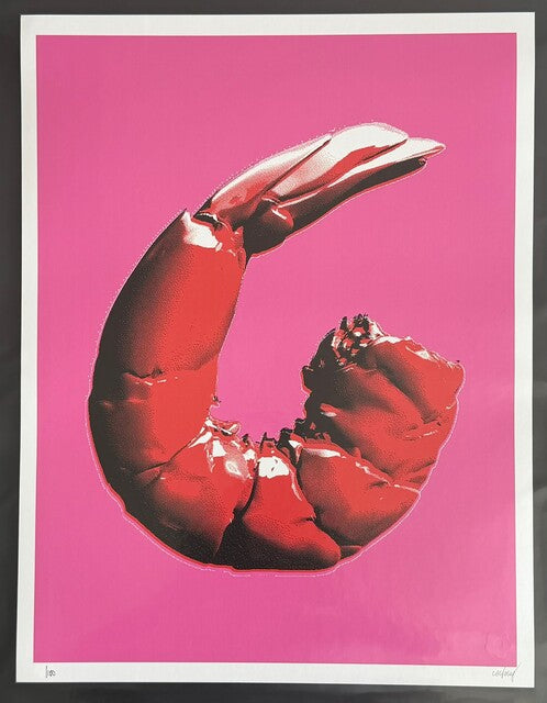 CJ Hendry — Pastel - Shrimp, 2026