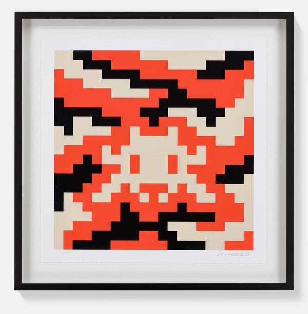Camo - S-3C-M4 - Framed by Invader — fine art print available at Rowang Gallery