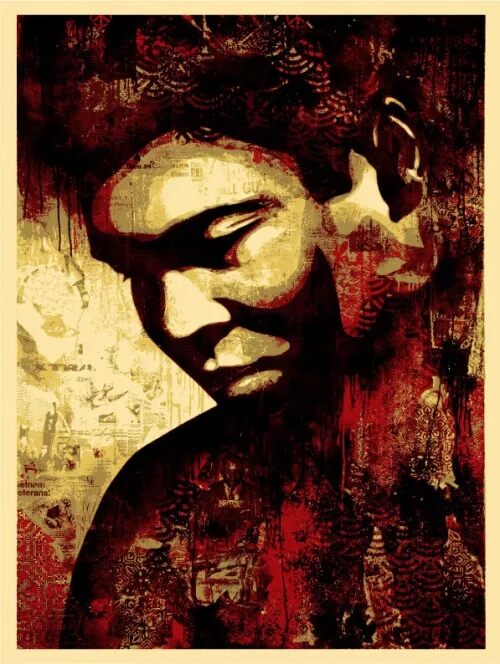 Muhammad Ali Canvas Print by Shepard Fairey — fine art print available at Rowang Gallery