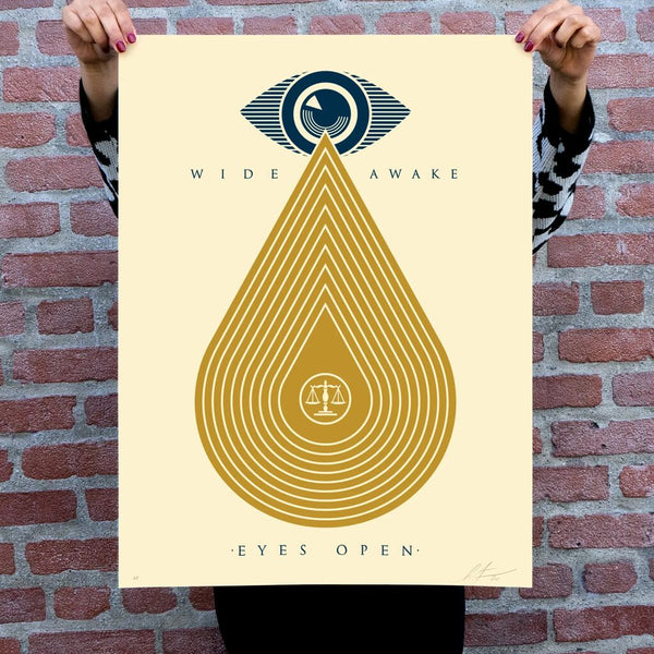Wide Awake - Eyes Open by Shepard Fairey — fine art print available at Rowang Gallery